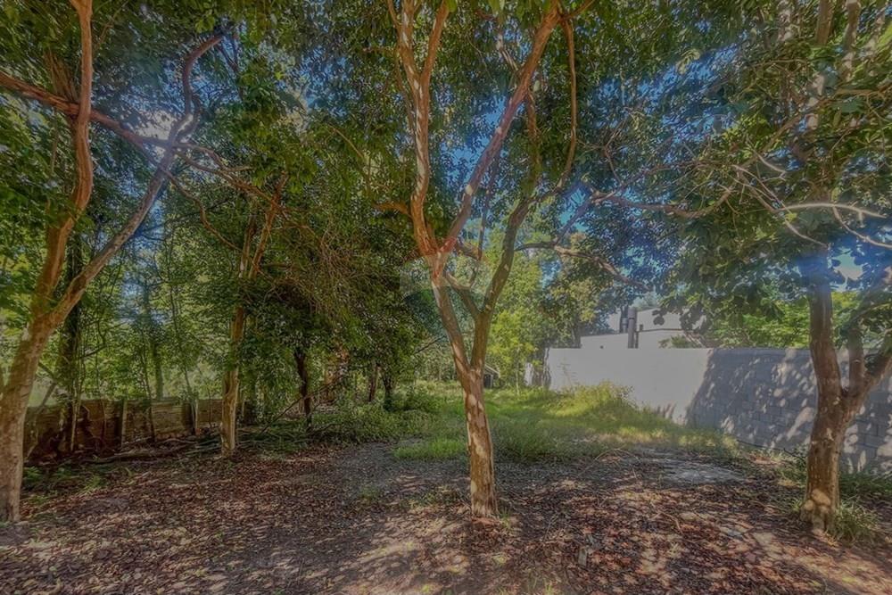 Terreno - Venda - Santa Maria , Rio Grande do Sul - IMG_9407.JPG - 610471004-13