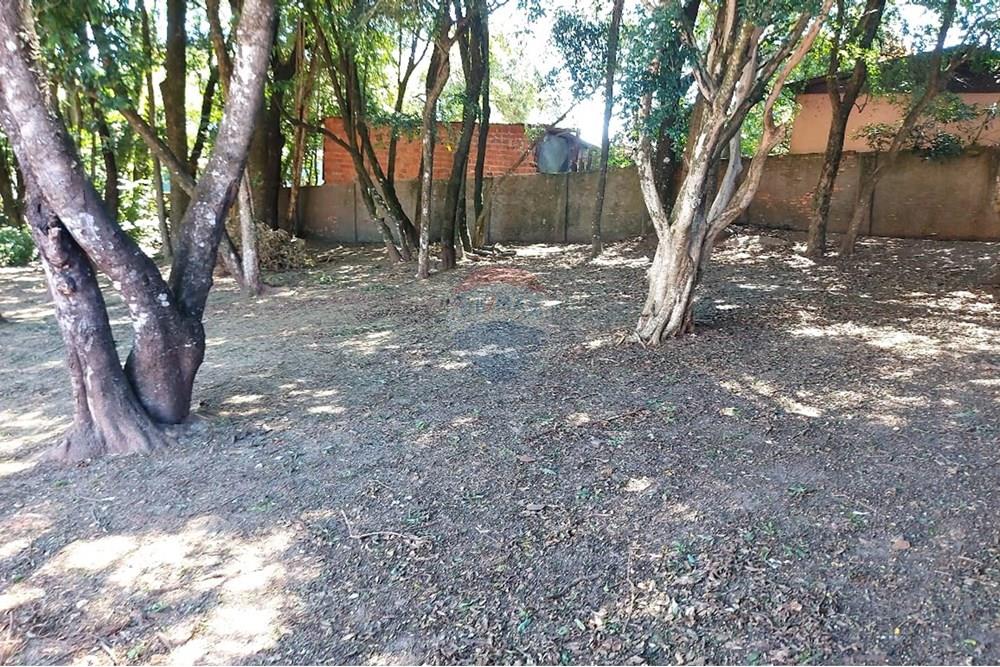 Terreno - Venda - Passo Fundo , Rio Grande do Sul - WhatsApp Image 2026-01-06 at 10.23.51 - Copia.jpeg - 612721043-11