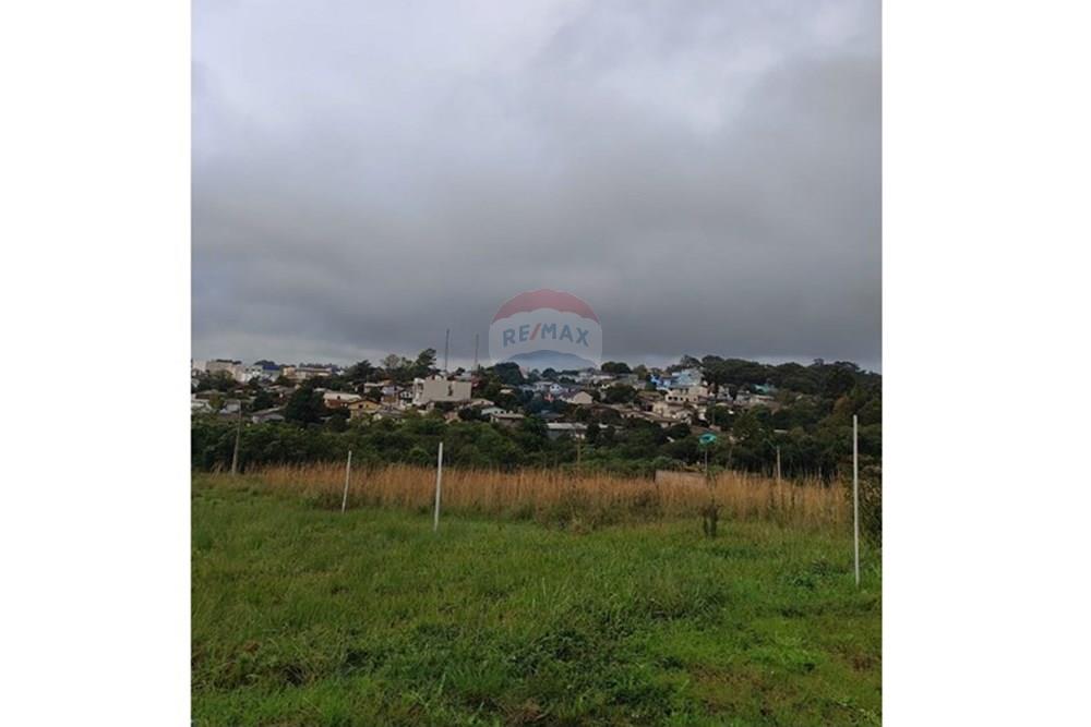 Terreno - Venda - Passo Fundo , Rio Grande do Sul - WhatsApp Image 2025-06-27 at 09.06.36.jpeg - 612721013-60