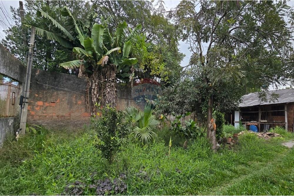 Terreno - Venda - Cachoeirinha , Rio Grande do Sul - WhatsApp Image 2025-06-14 at 14.51.23.jpeg - 610381114-27