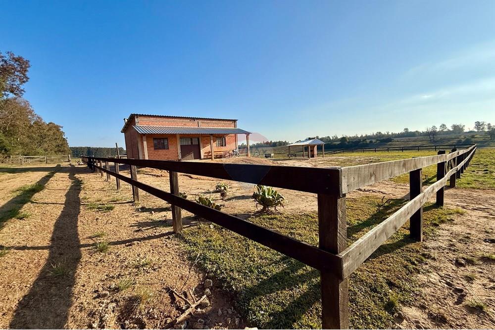 Chácara / Sítio / Fazenda - Venda - São Gabriel , Rio Grande do Sul - 8e47ed38-47cd-49b2-962f-329d037db11b.jpeg - 612631037-9