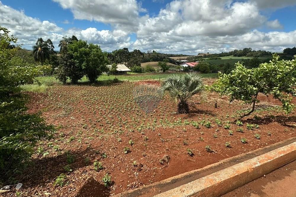 Terreno - Venda - Três Palmeiras , Rio Grande do Sul - WhatsApp Image 2025-11-17 at 11.08.44.jpeg - 610231038-3
