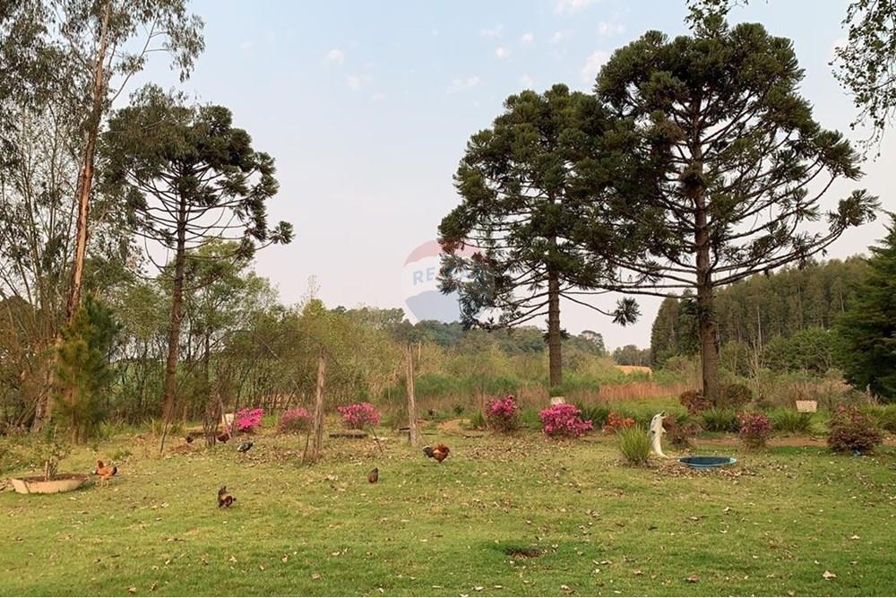 Chácara / Sítio / Fazenda - Venda - Sarandi , Rio Grande do Sul - WhatsApp Image 2025-07-03 at 11.19.35 (2).jpeg - 610341006-382