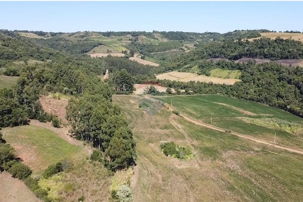 Chácara / Sítio / Fazenda - Venda - Trindade do Sul , Rio Grande do Sul - IMG-20250325-WA0066.jpg - 610231004-88