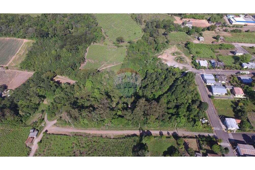Terreno - Venda - Nova Pádua , Rio Grande do Sul - DJI_00781.jpg - 612551039-219