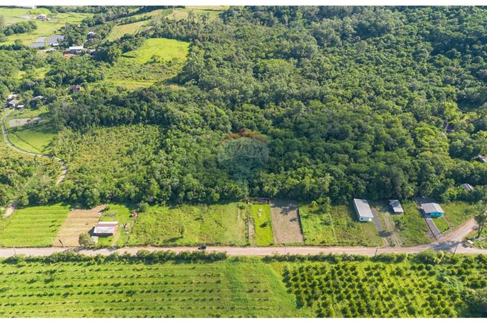 Terreno - Venda - Pareci Novo , Rio Grande do Sul - Foto-11.jpg - 610091005-86