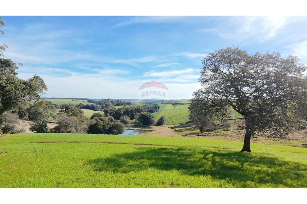 Chácara / Sítio / Fazenda - Venda - Nonoai , Rio Grande do Sul - 1000606557.jpg - 610231010-128