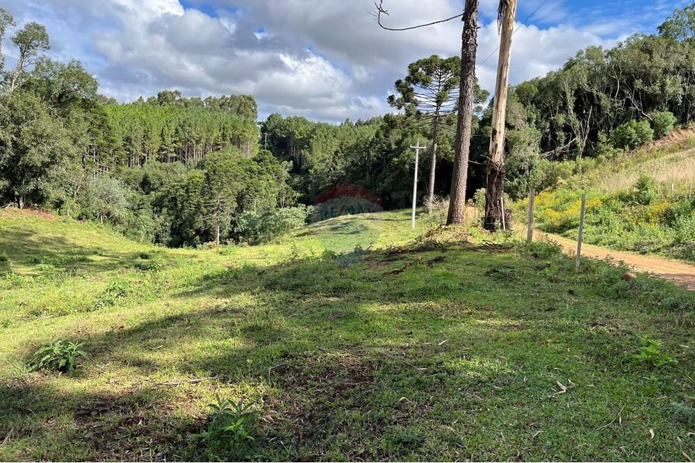 Fazenda - Venda - Lagoa Vermelha , Rio Grande do Sul - IMG_4231.jpg - 610111017-4