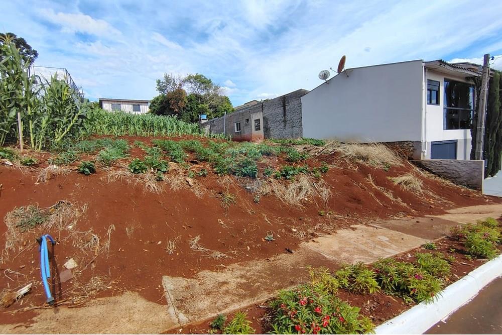 Terreno - Venda - Ronda Alta , Rio Grande do Sul - WhatsApp Image 2025-12-18 at 09.39.50.jpeg - 610231034-15