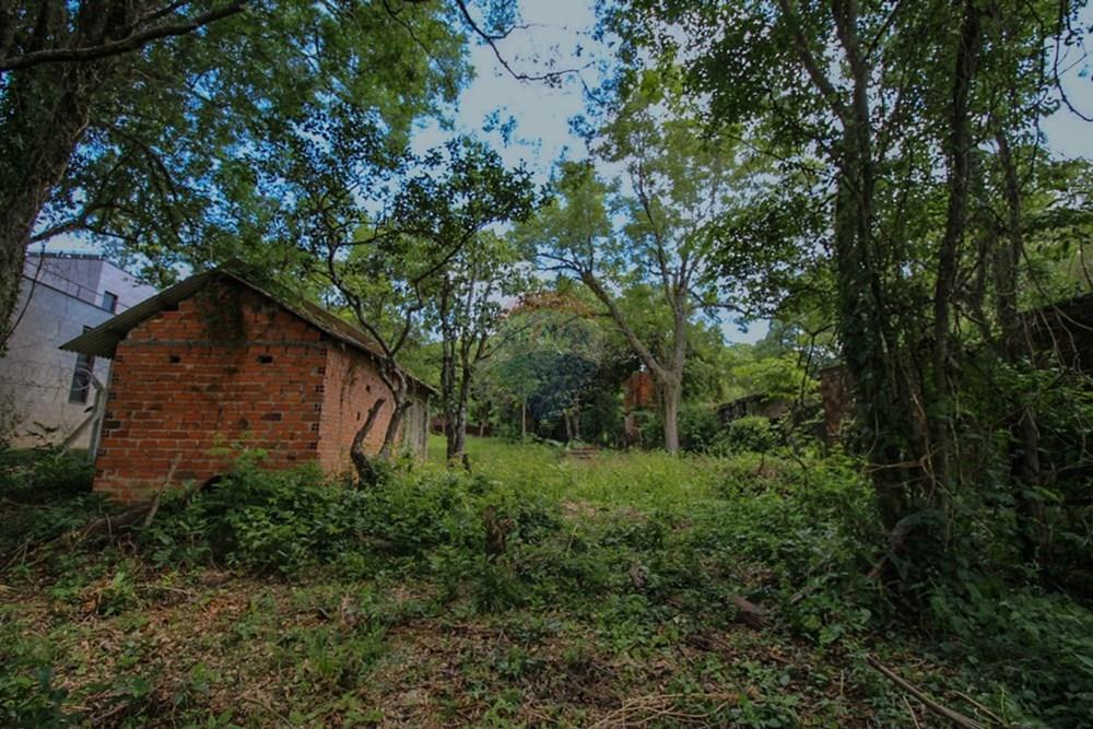 Terreno - Venda - Santa Maria , Rio Grande do Sul - IMG_9373.JPG - 610471004-13