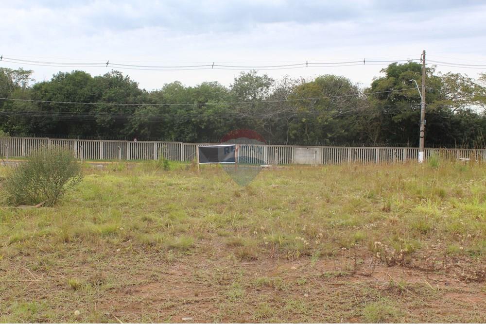 Terreno - Venda - Gravataí , Rio Grande do Sul - IMG_3936.JPG - 610161057-54