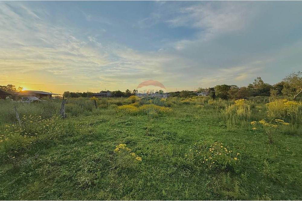 Terreno - Venda - São Gabriel , Rio Grande do Sul - WhatsApp Image 2025-10-24 at 10.48.31.jpeg - 612631001-66