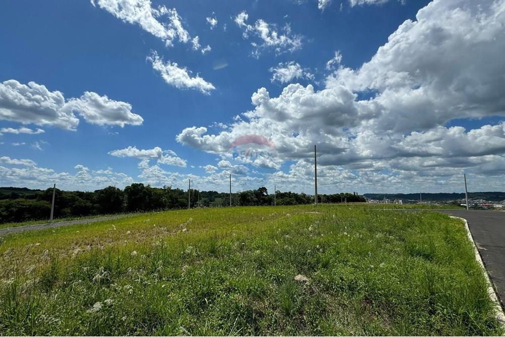 Terreno - Venda - Sarandi , Rio Grande do Sul - WhatsApp Image 2025-02-05 at 15.38.23.jpeg - 610341006-337