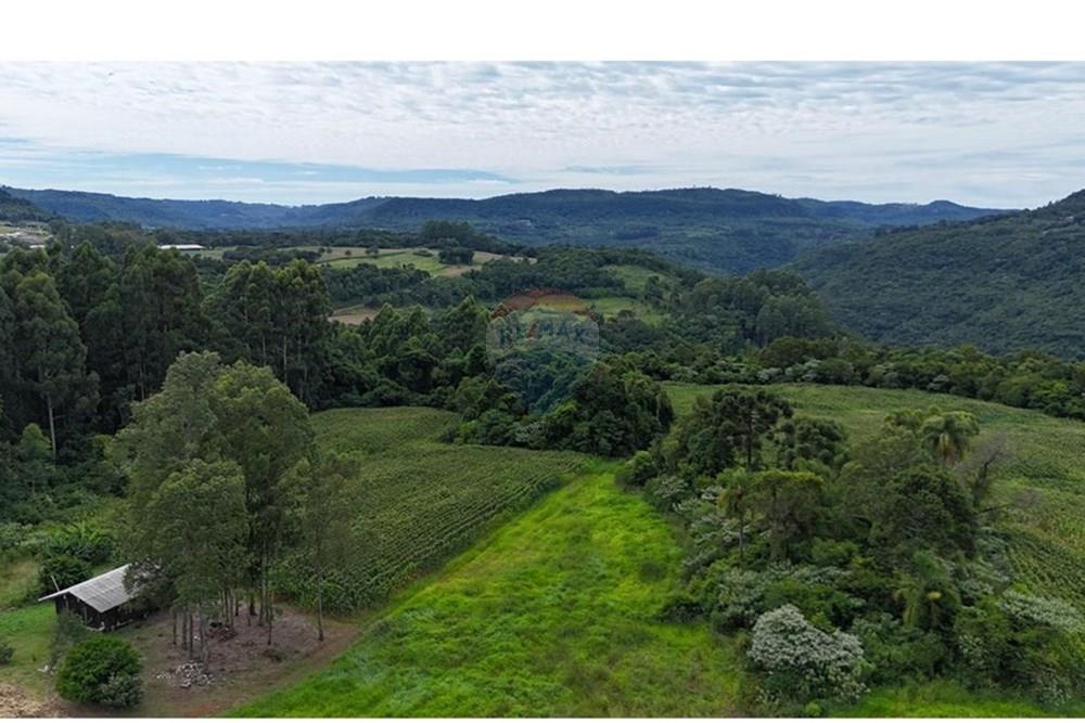 Chácara / Sítio / Fazenda - Venda - Gramado , Rio Grande do Sul - WhatsApp Image 2026-02-24 at 16.26.07 (11).jpeg - 610131034-44