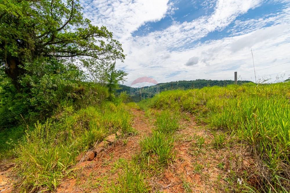 Terreno - Venda - Gravataí , Rio Grande do Sul - _DSC3259.jpg - Fachada - 610051074-25
