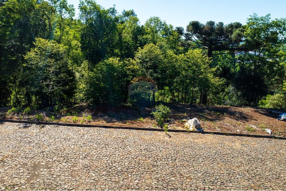 Terreno - Venda - Erechim , Rio Grande do Sul - DJI_0731.jpg - 612761012-20