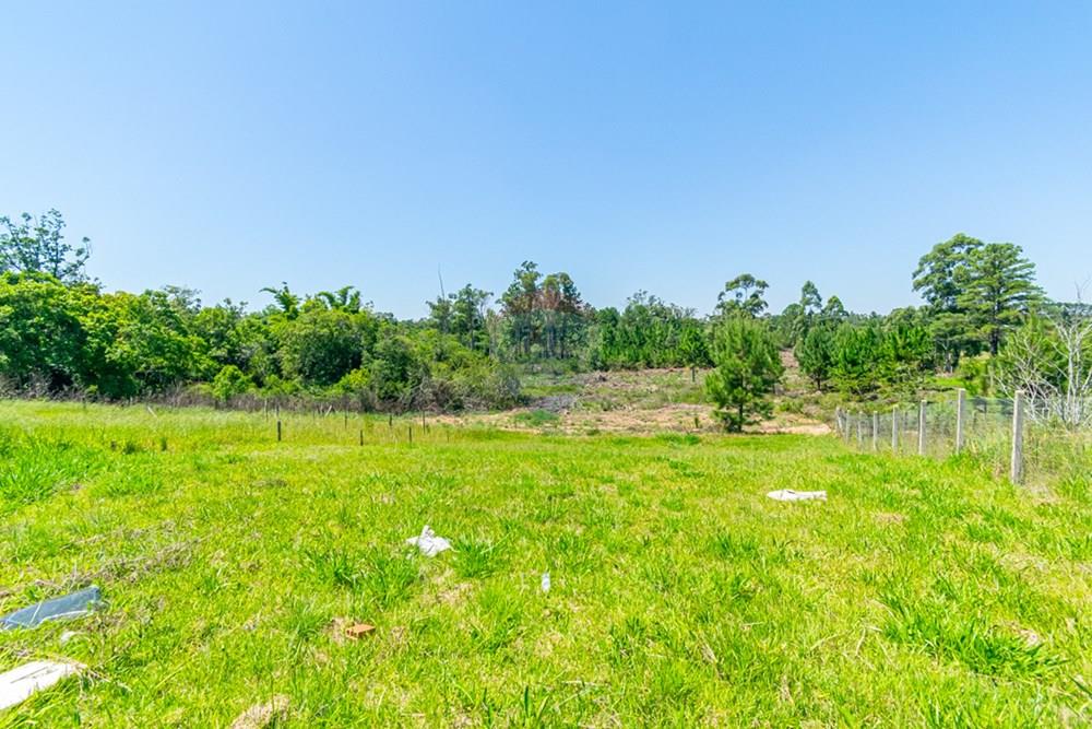 Chácara / Sítio / Fazenda - Venda - Gravataí , Rio Grande do Sul - _DSC5383.jpg - 610051074-32