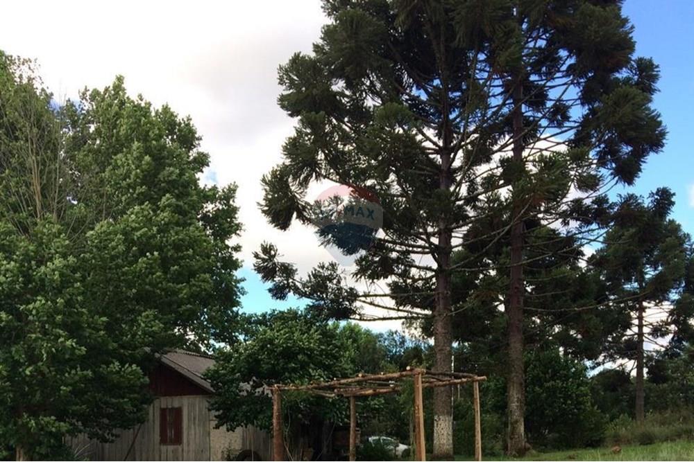 Chácara / Sítio / Fazenda - Venda - Sarandi , Rio Grande do Sul - WhatsApp Image 2025-07-03 at 11.17.27.jpeg - 610341006-382