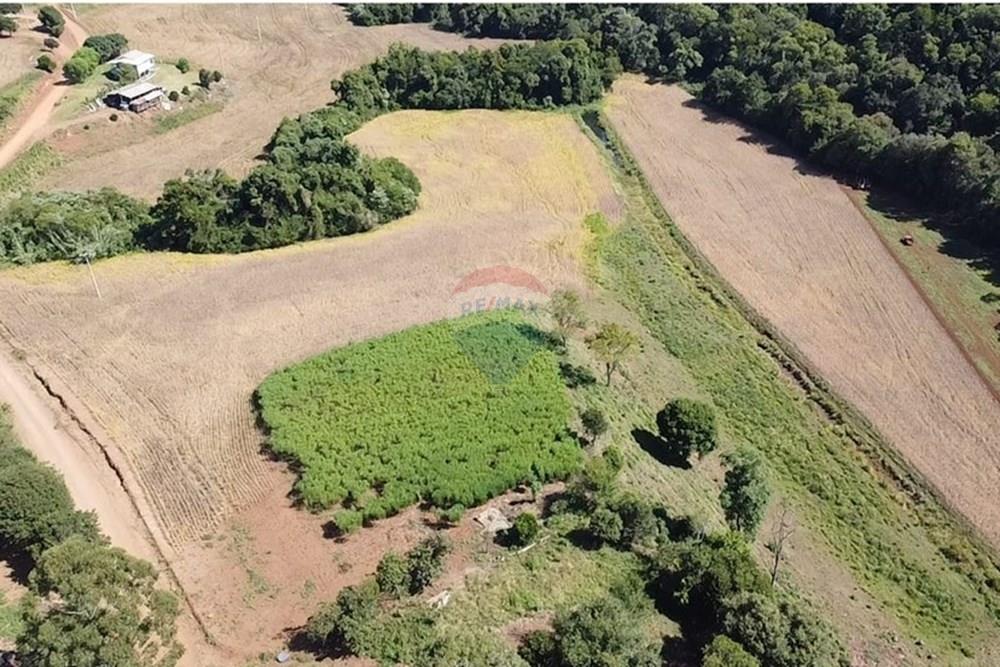 Chácara / Sítio / Fazenda - Venda - Trindade do Sul , Rio Grande do Sul - IMG-20250325-WA0072.jpg - 610231004-88