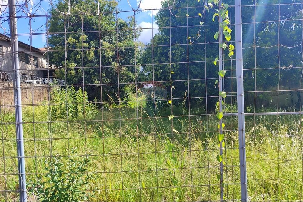 Terreno - Venda - Passo Fundo , Rio Grande do Sul - WhatsApp Image 2026-03-27 at 14.14.22.jpeg - 612721013-68