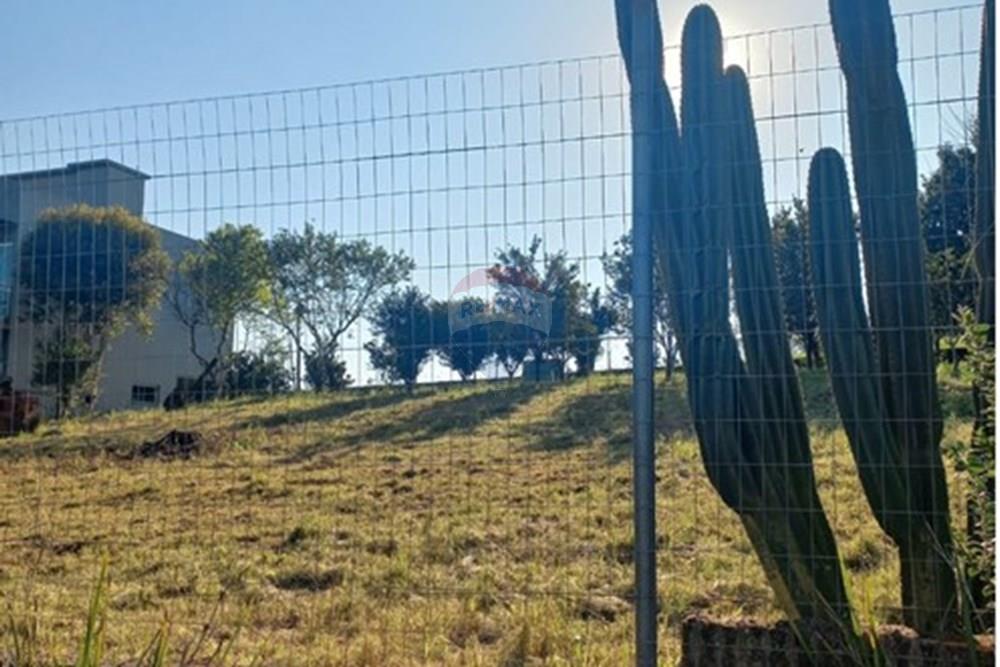 Terreno - Venda - Trindade do Sul , Rio Grande do Sul - WhatsApp Image 2025-12-17 at 16.21.09 (1).jpeg - 610231035-7