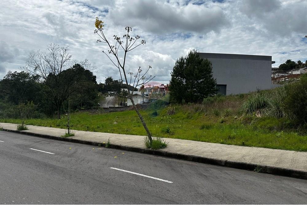 Terreno - Venda - Bento Gonçalves , Rio Grande do Sul - WhatsApp Image 2025-10-07 at 11.32.21 (1).jpeg - 610331038-43