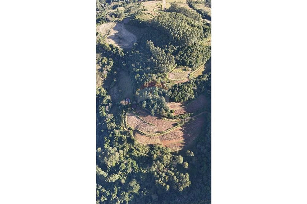 Chácara / Sítio / Fazenda - Venda - Santa Cruz do Sul , Rio Grande do Sul - IMG-20250731-WA0009.jpg - 612741028-54