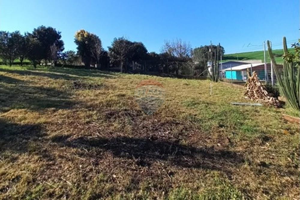 Terreno - Venda - Trindade do Sul , Rio Grande do Sul - WhatsApp Image 2025-12-17 at 16.21.17.jpeg - 610231035-7