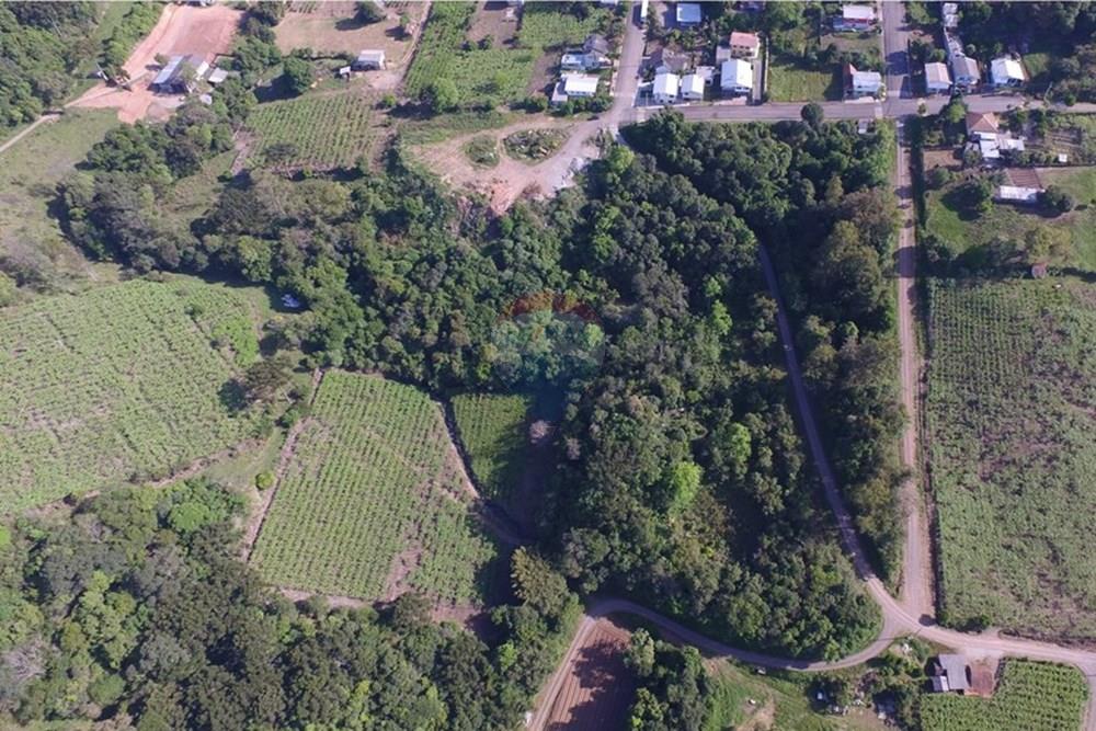 Terreno - Venda - Nova Pádua , Rio Grande do Sul - DJI_00541.jpg - 612551039-219