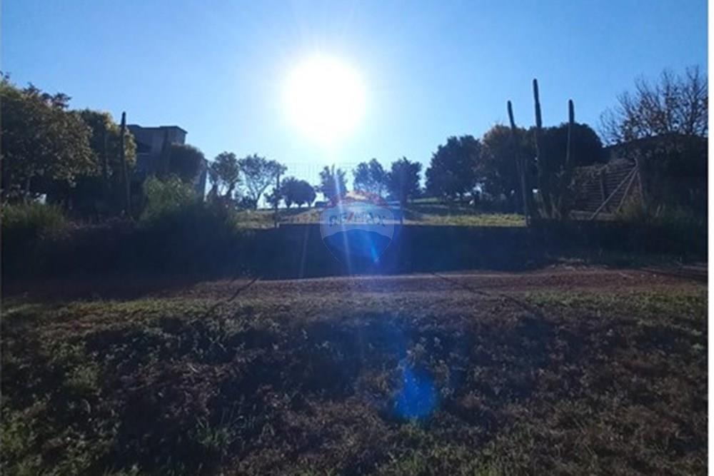 Terreno - Venda - Trindade do Sul , Rio Grande do Sul - WhatsApp Image 2025-09-10 at 00.53.04.jpeg - 610231035-3