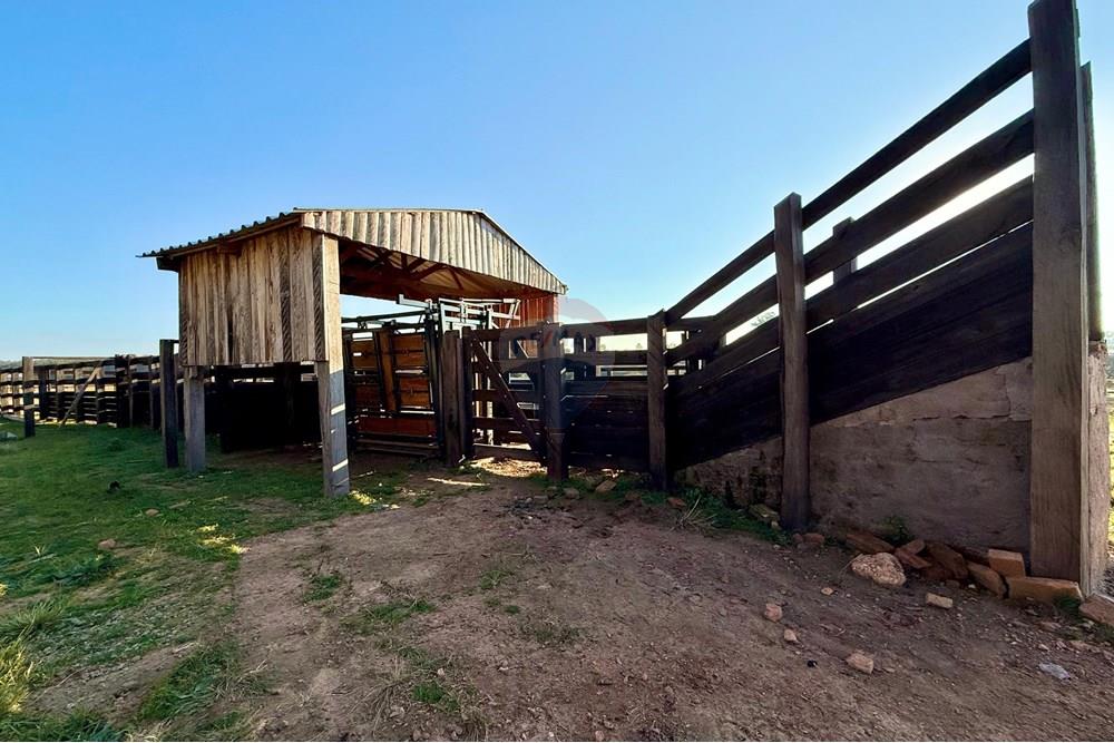 Chácara / Sítio / Fazenda - Venda - São Gabriel , Rio Grande do Sul - 3e0825e7-06c0-465b-a95a-370b50c9c7d0.jpeg - 612631037-9