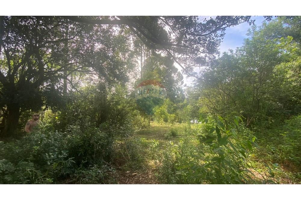 Chácara / Sítio / Fazenda - Venda - Rio Pardo , Rio Grande do Sul - IMG_5706.jpeg - 612741002-49