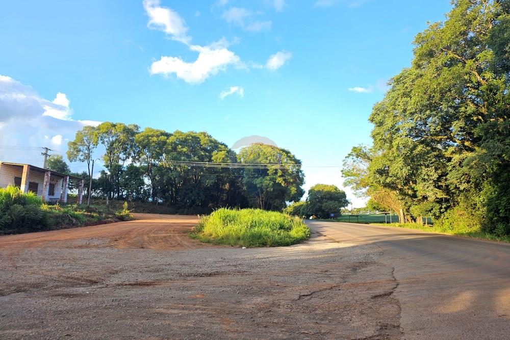 Terreno - Venda - Passo Fundo , Rio Grande do Sul - 20260218_183406.jpg - 612621034-49