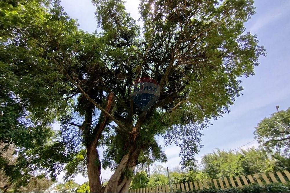 Apartamento - Venda - Canoas , Rio Grande do Sul - IMG_20251113_110235.jpg - 610241023-73