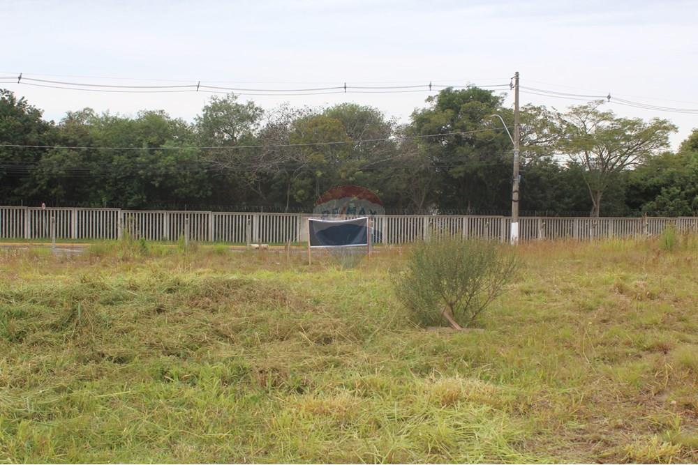 Terreno - Venda - Gravataí , Rio Grande do Sul - IMG_3914.JPG - 610161057-54