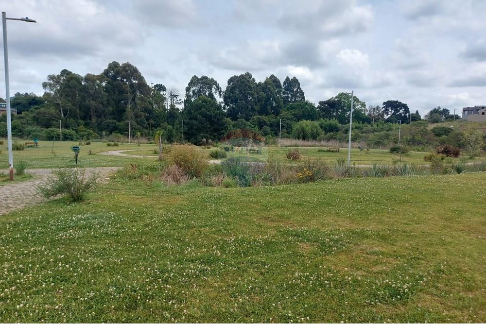 Terreno - Venda - Passo Fundo , Rio Grande do Sul - WhatsApp Image 2025-11-14 at 09.05.44 (2).jpeg - 612721047-1