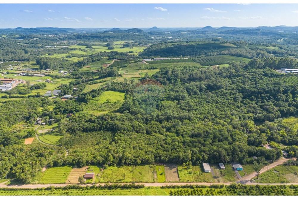 Terreno - Venda - Pareci Novo , Rio Grande do Sul - Foto-12.jpg - 610091005-86