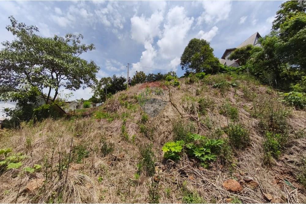 Terreno - Venda - São Valentim , Rio Grande do Sul - WhatsApp Image 2025-10-11 at 13.51.07 (1).jpeg - Fachada - 612761006-54