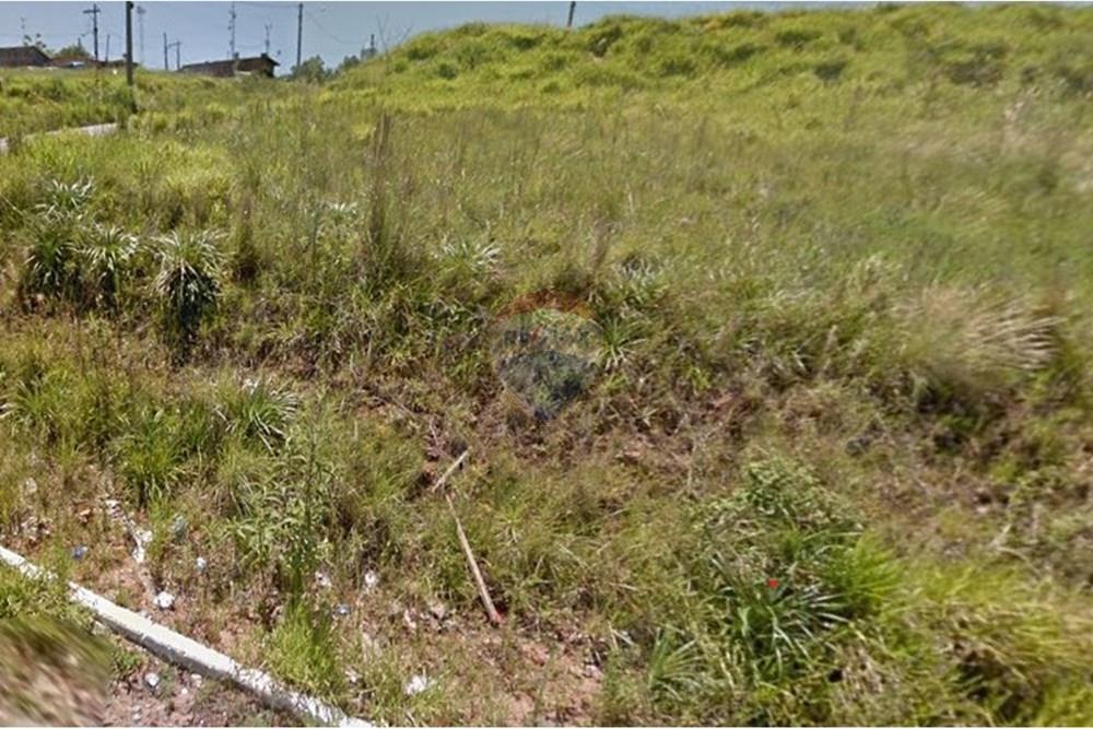 Terreno - Venda - Sapucaia do Sul , Rio Grande do Sul - Alvorada lote 20 1.jpg - 612561001-295