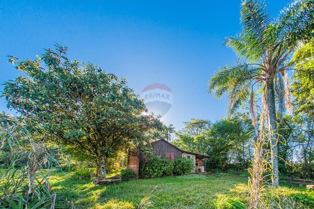 Chácara / Sítio / Fazenda - Venda - Brochier , Rio Grande do Sul - Foto-31.jpg - 610091003-74