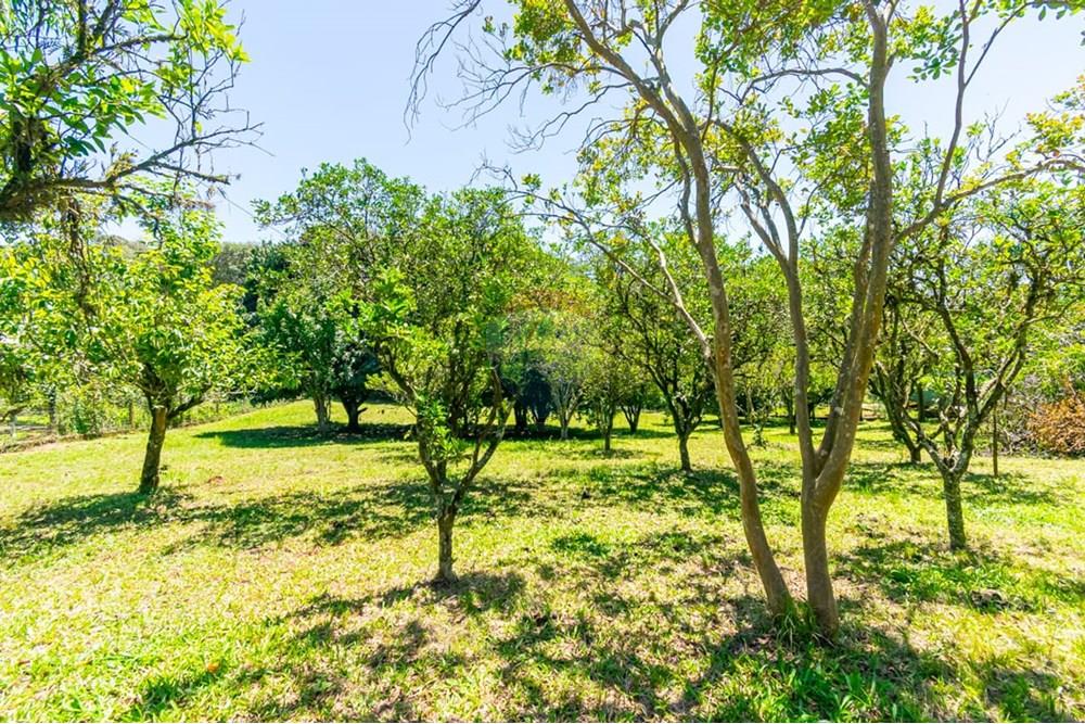 Chácara / Sítio / Fazenda - Venda - Gravataí , Rio Grande do Sul - LRP 29.jpg - 612551082-7
