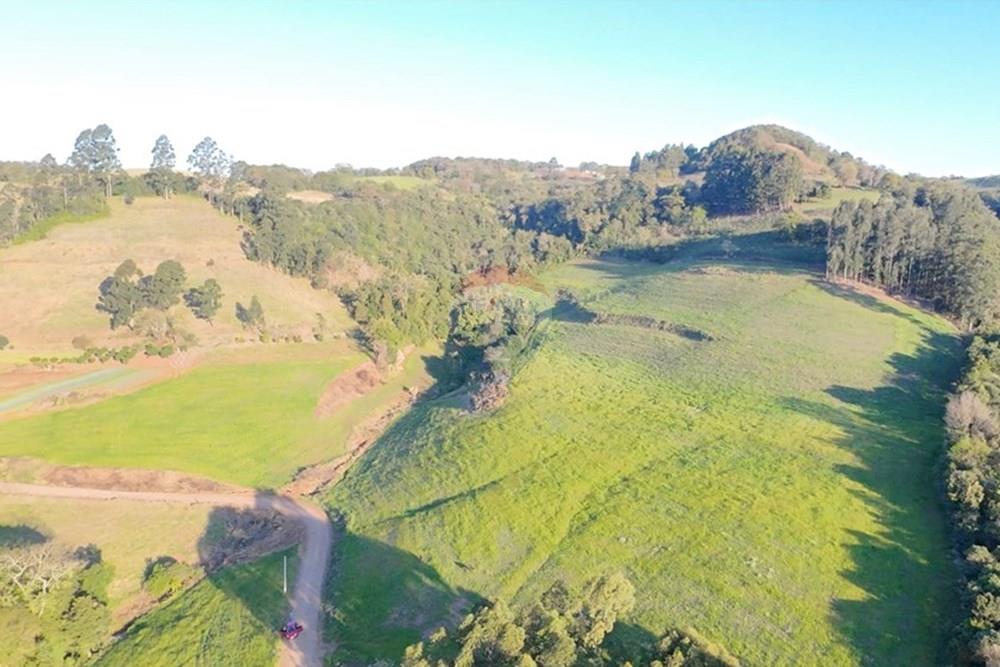 Agro - Venda - Três Palmeiras , Rio Grande do Sul - WhatsApp Image 2025-08-30 at 19.38.25 (3).jpeg - 610231001-208