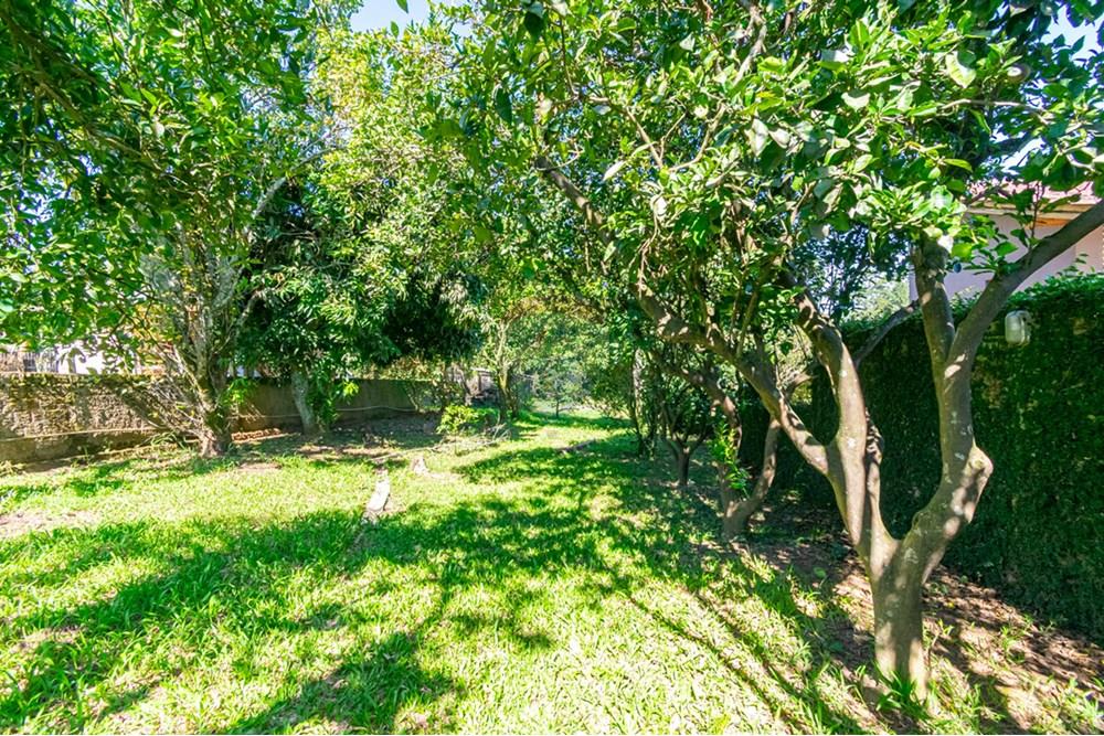 Terreno - Venda - Gravataí , Rio Grande do Sul - _DSC3061.jpg - 610051078-10