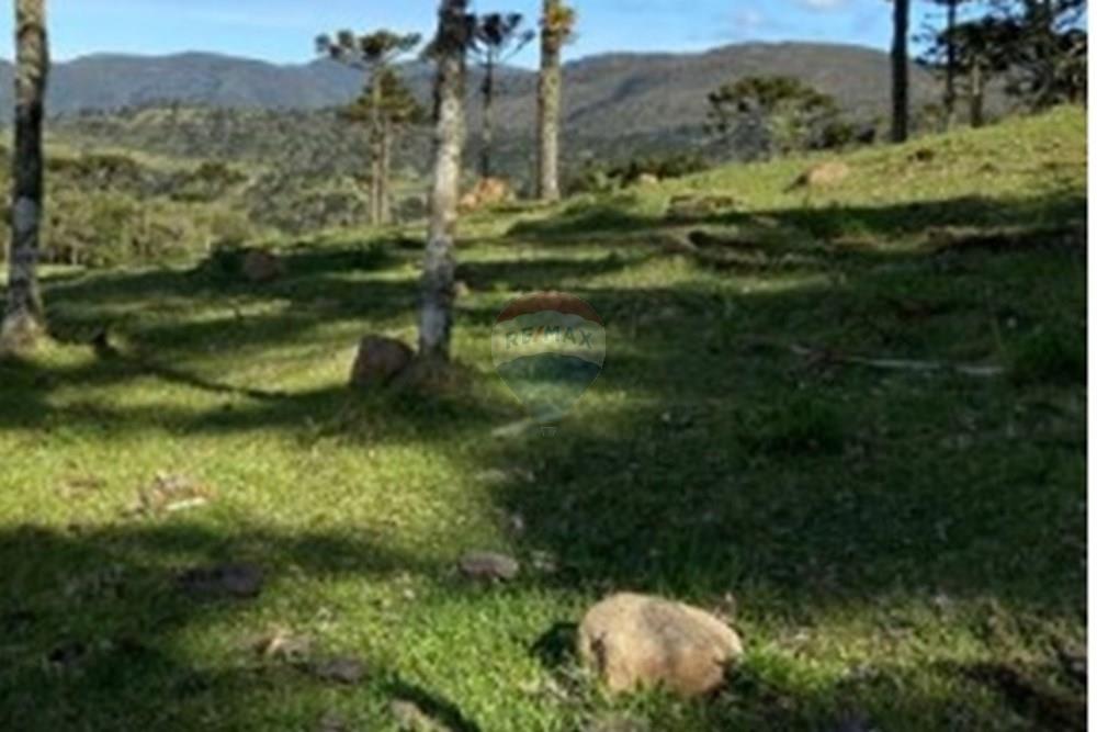 Terreno - Venda - Garibaldi , Rio Grande do Sul - foto terreno tatiane .jpg - 610331038-186