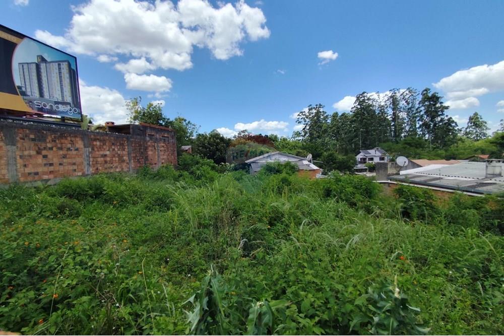 Terreno - Venda - Gravataí , Rio Grande do Sul - 44d80750-6d4a-41ba-b8f9-ae363cec3d07.jpg - 610161080-40