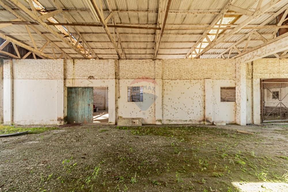 Terreno - Venda - Pelotas , Rio Grande do Sul - Fernando Osorio 5799-13.jpg - 610211062-16