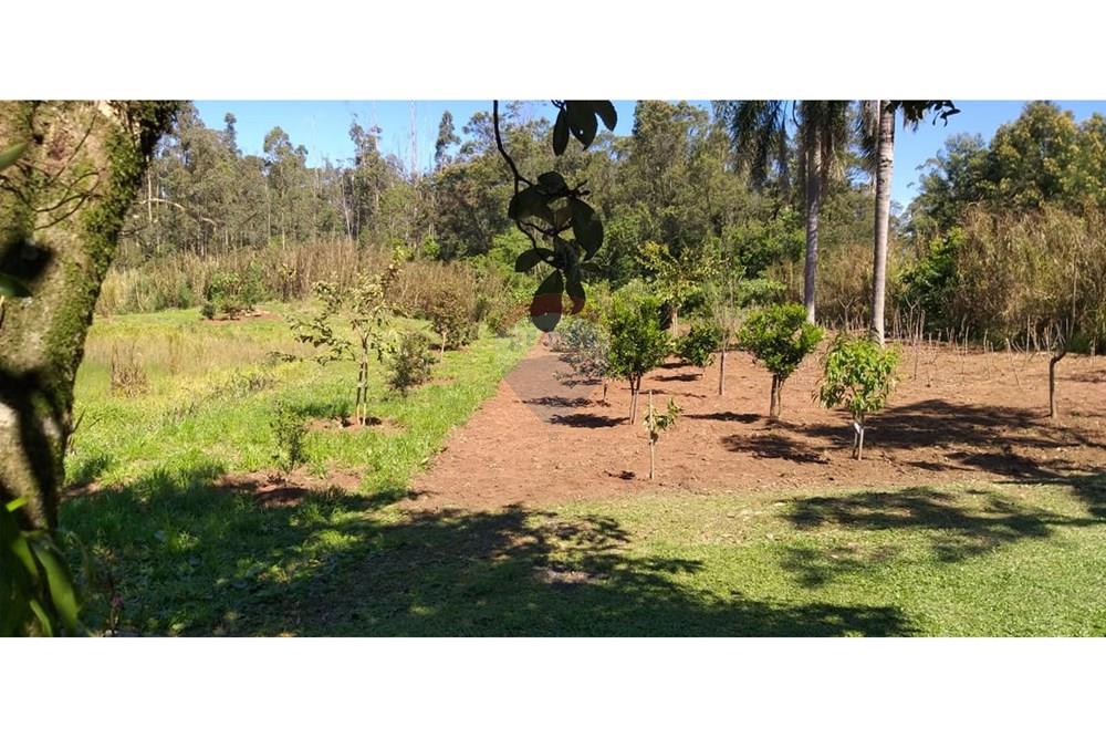 Chácara / Sítio / Fazenda - Venda - Brochier , Rio Grande do Sul - foto 1.jpg - 610091003-74