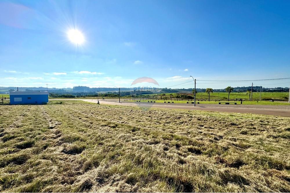 Terreno - Venda - Passo Fundo , Rio Grande do Sul - IMG_5623.jpeg - 610071006-1048