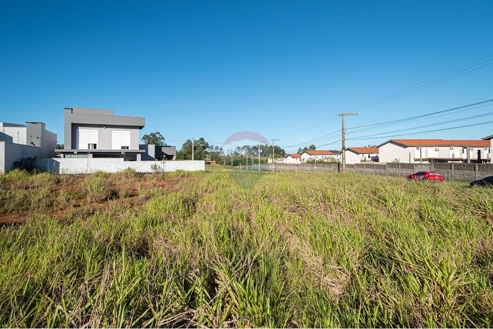 Terreno - Venda - Novo Hamburgo , Rio Grande do Sul - DSC_3186-7210.jpg - 610261015-43