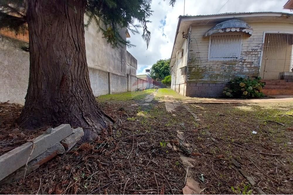 Terreno - Venda - Viamão , Rio Grande do Sul - 20250316_125313.jpg - 612531046-203